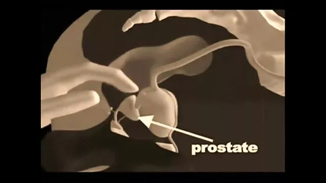 Compilation vidio porno gratwi d'éjaculations russes
