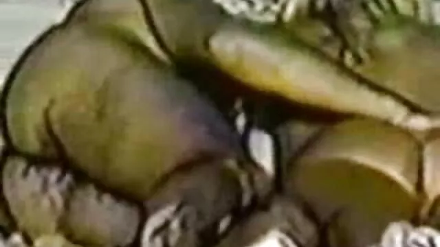 Il s'est renversé au sol et a anime porno fr doucement baisé la fille dans différentes positions